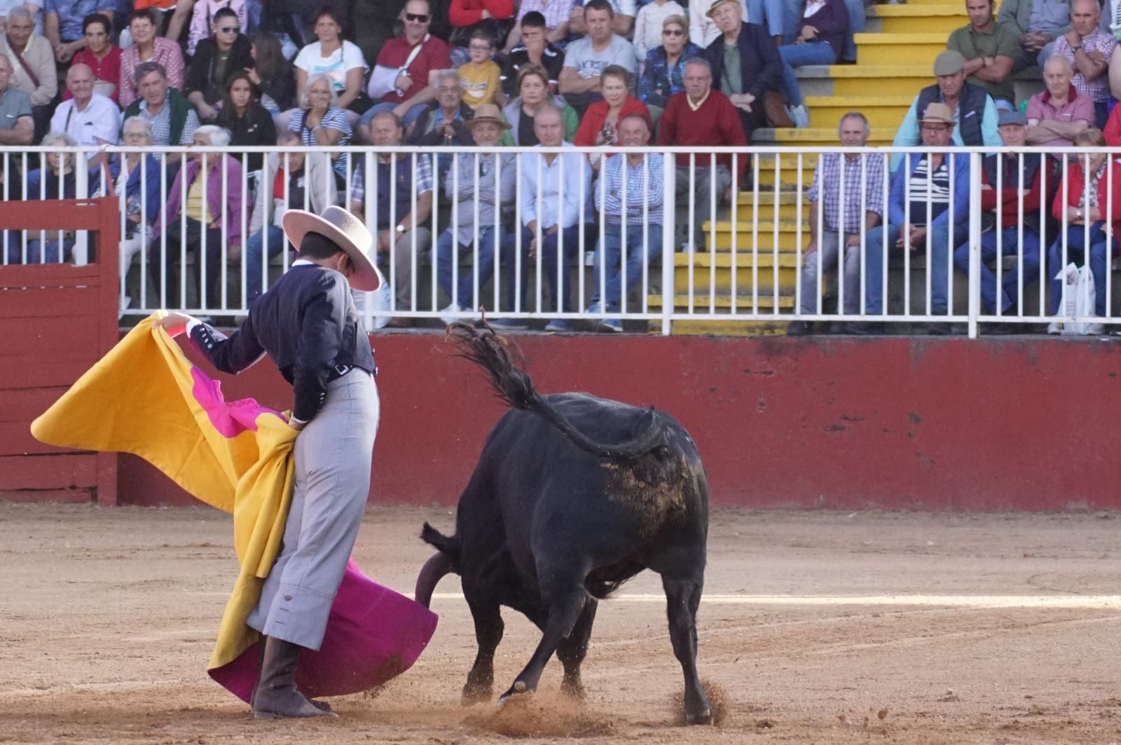 whatsapp-image-2024-09-06-at-20-54-17-1