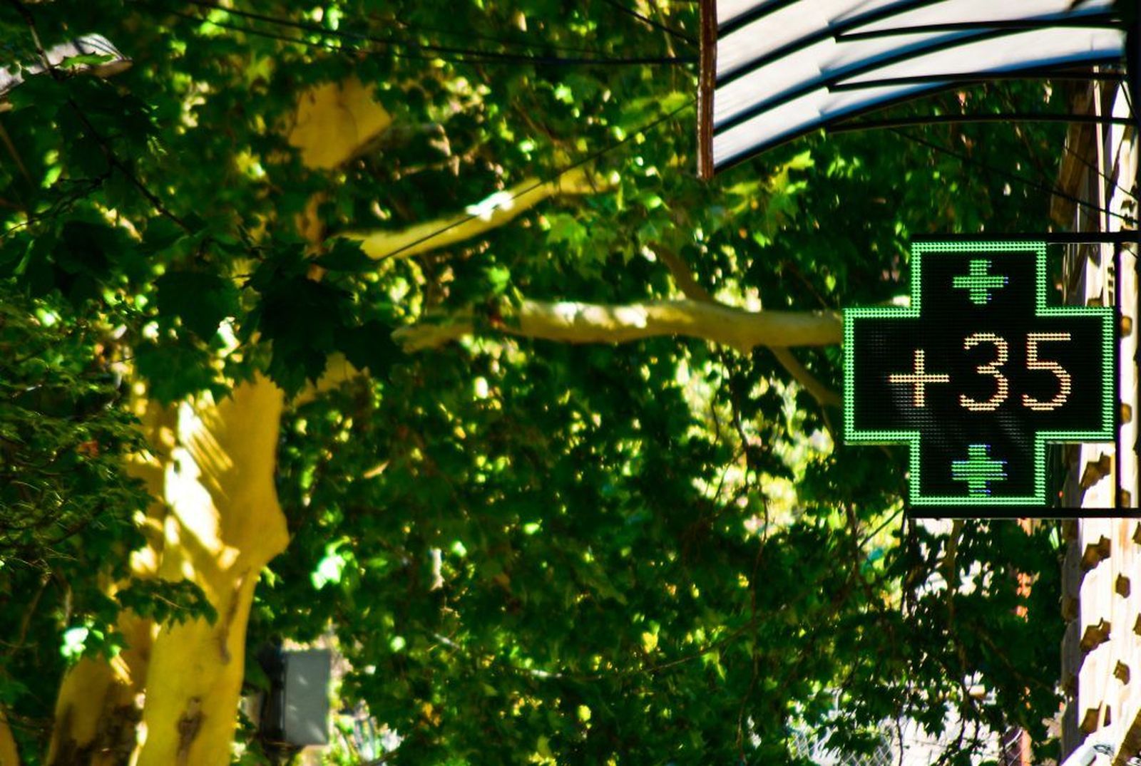 Los farmacéuticos recuerdan los efectos del calor en la efectividad de los medicamentos. Colegio de Farmacéuticos
