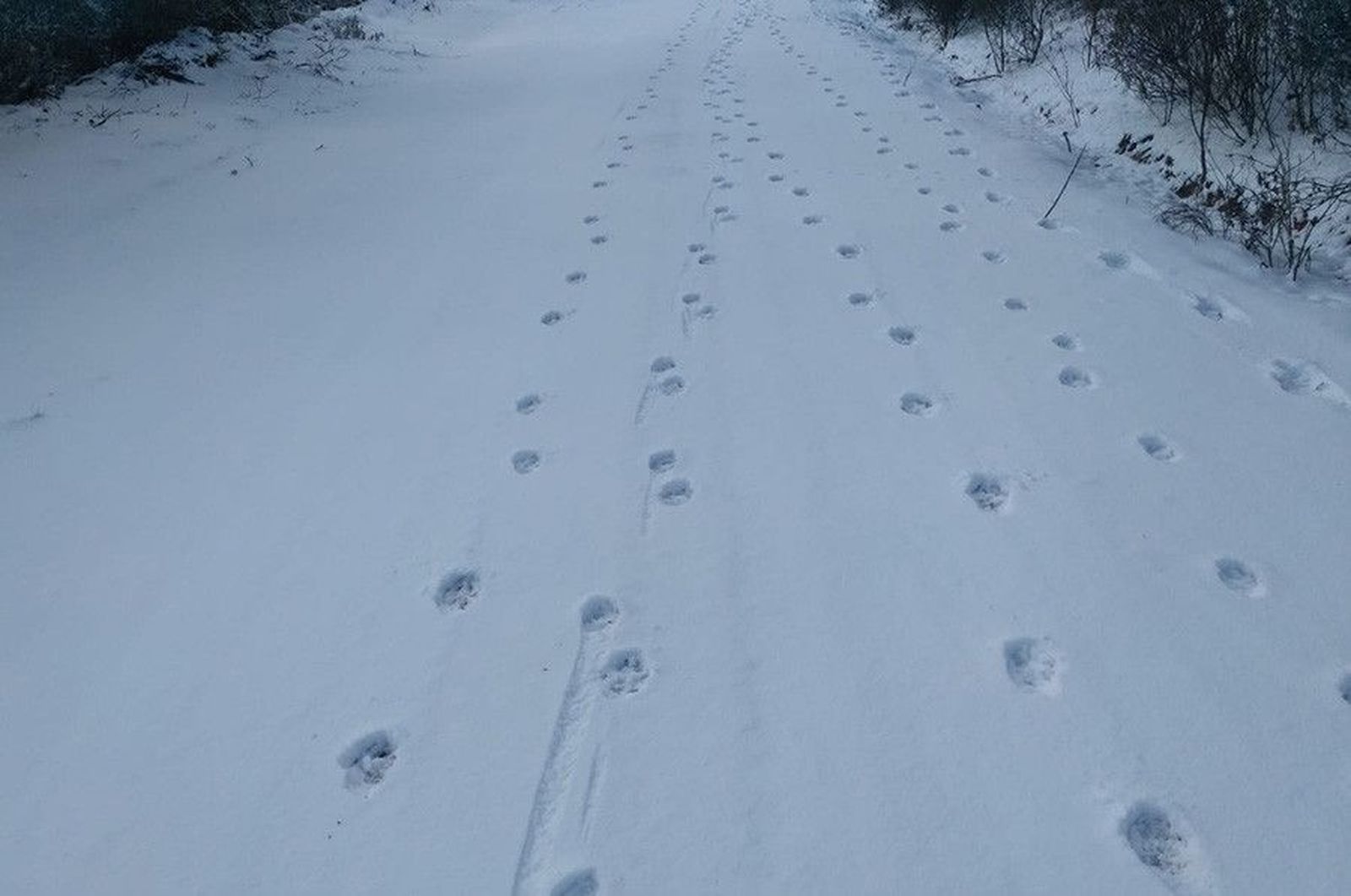 WhatsApp Image 2021 01 11 at 12.09.30