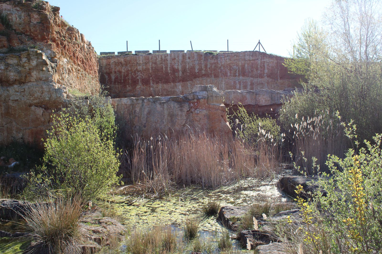 habitat-minero-villamayor-cantera-las-cocinitas-19