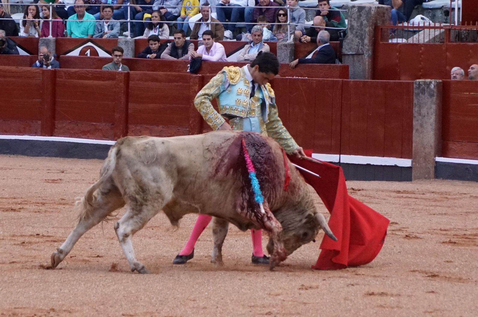 whatsapp-image-2022-09-08-at-9-20-32-pm