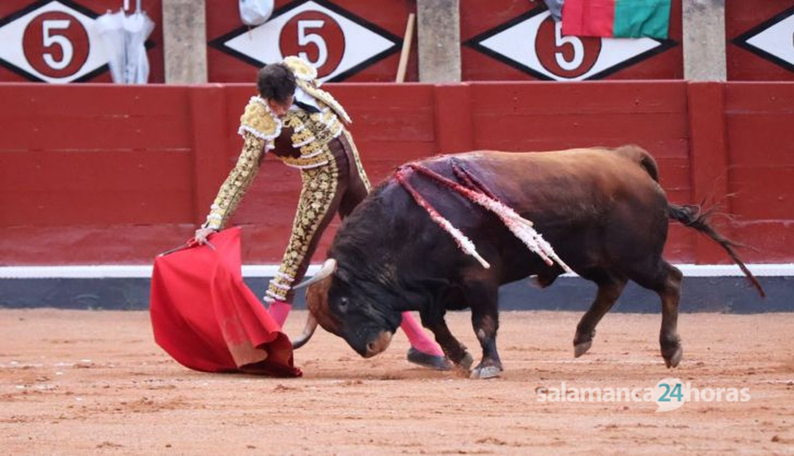 Corrida de Garcigrande: momentos más destacados del cuarto festejo de abono de la Feria Taurina Virgen de la Vega 2024. Fotos Andrea M.