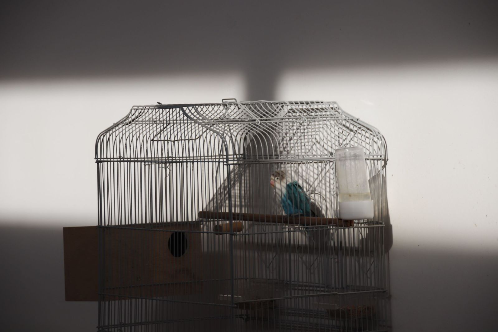 20230215105617-mg-6320