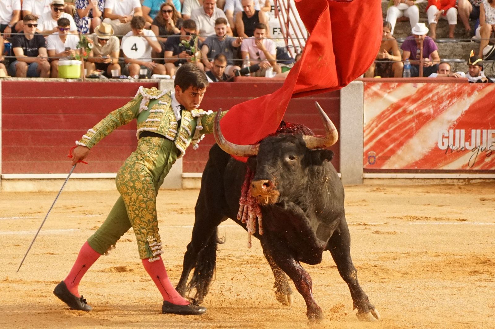 Javier Castaño se despide de Guijuelo y Damián Castaño, su hermano, e Ismael Martín salen a hombros en Guijuelo
