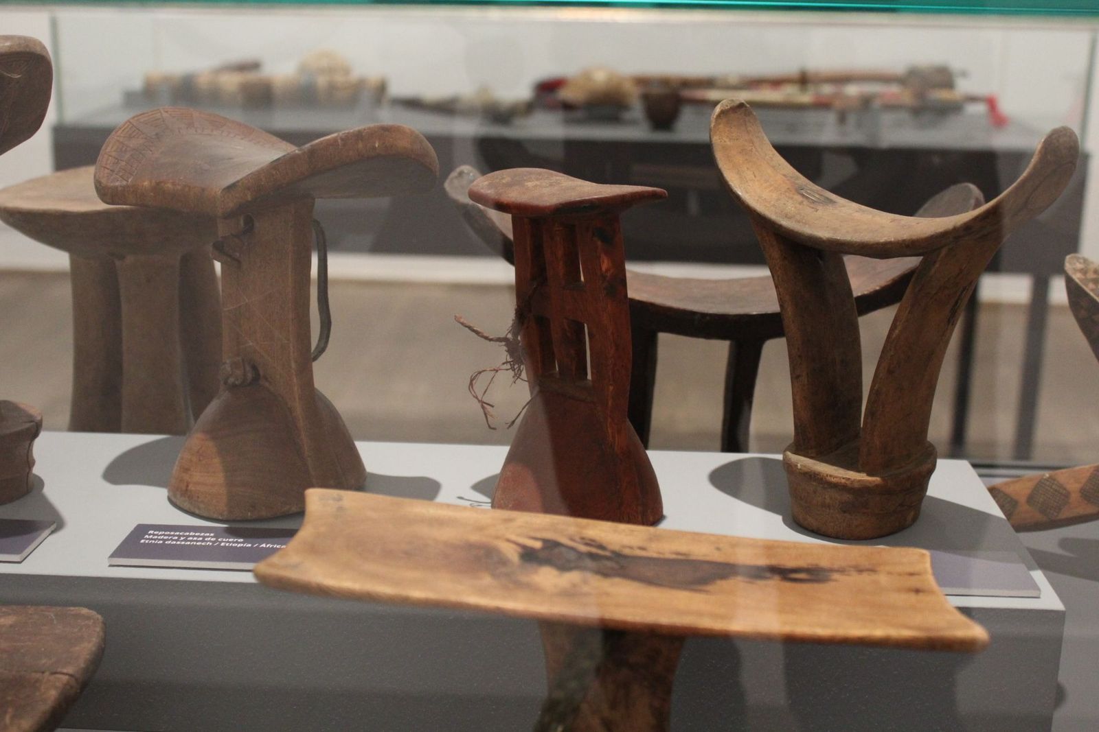 20221018120759-img-0728