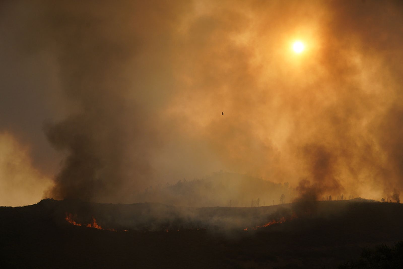 Incendio en la localidad de Paradiña