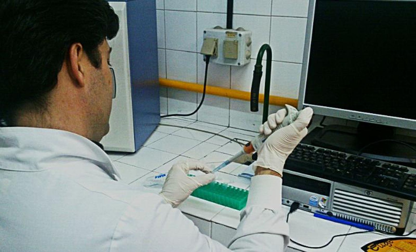 Un biosensor es capaz de detectar tumores en etapas tempranas Un biosensor es capaz de detectar tumores en etapas tempranas