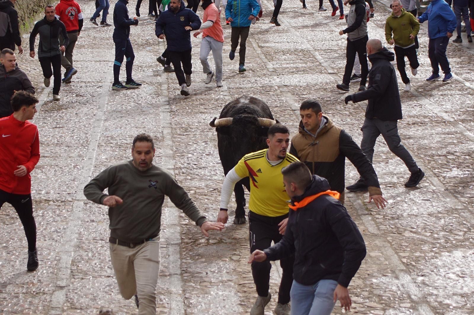 El encierro de Lunes de Carnaval en Ciudad Rodrigo en imágenes