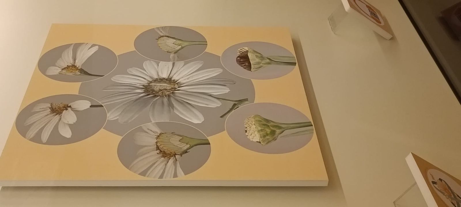 exposicion-botanica-20