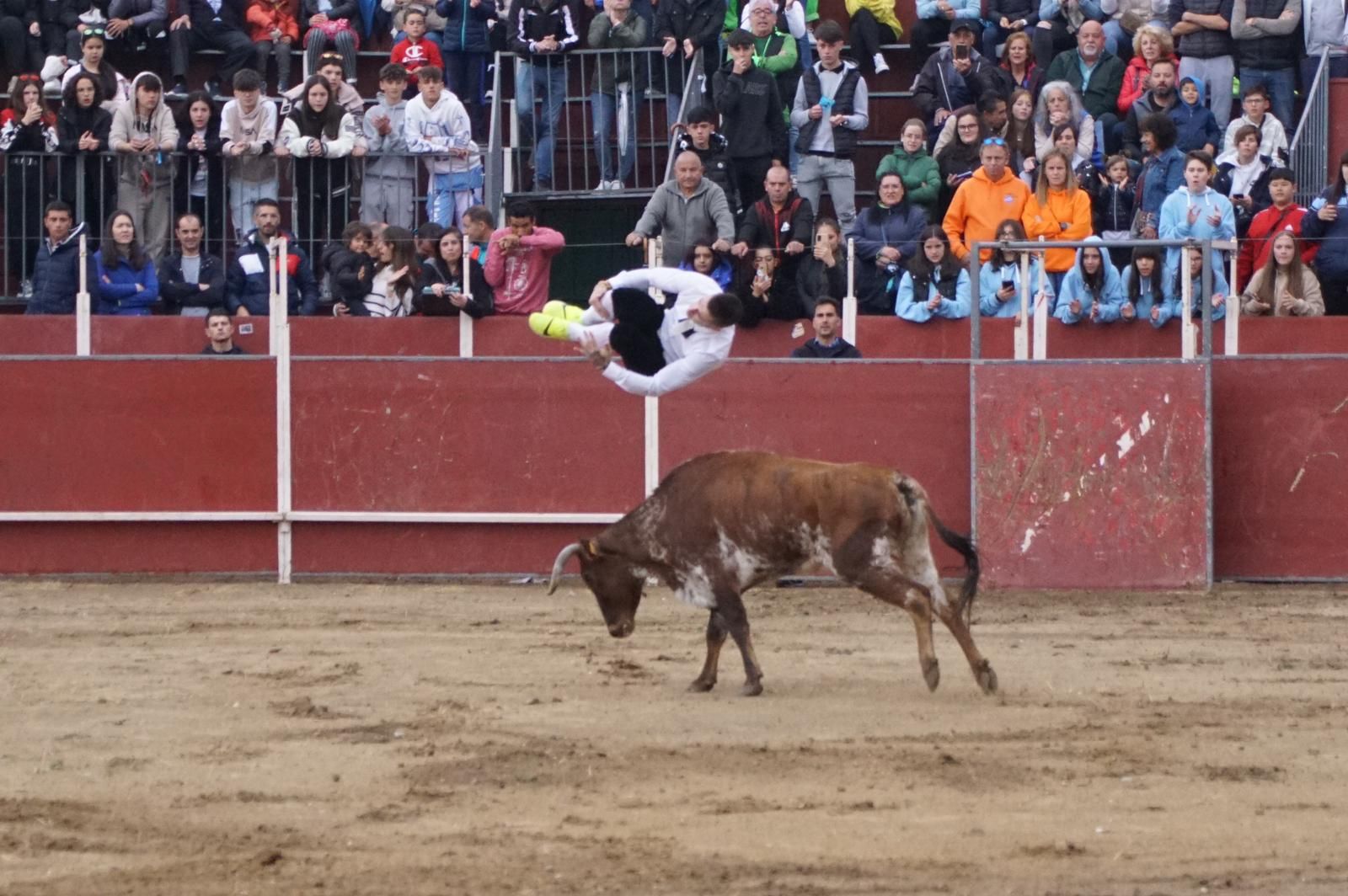 whatsapp-image-2023-05-22-at-20-19-06