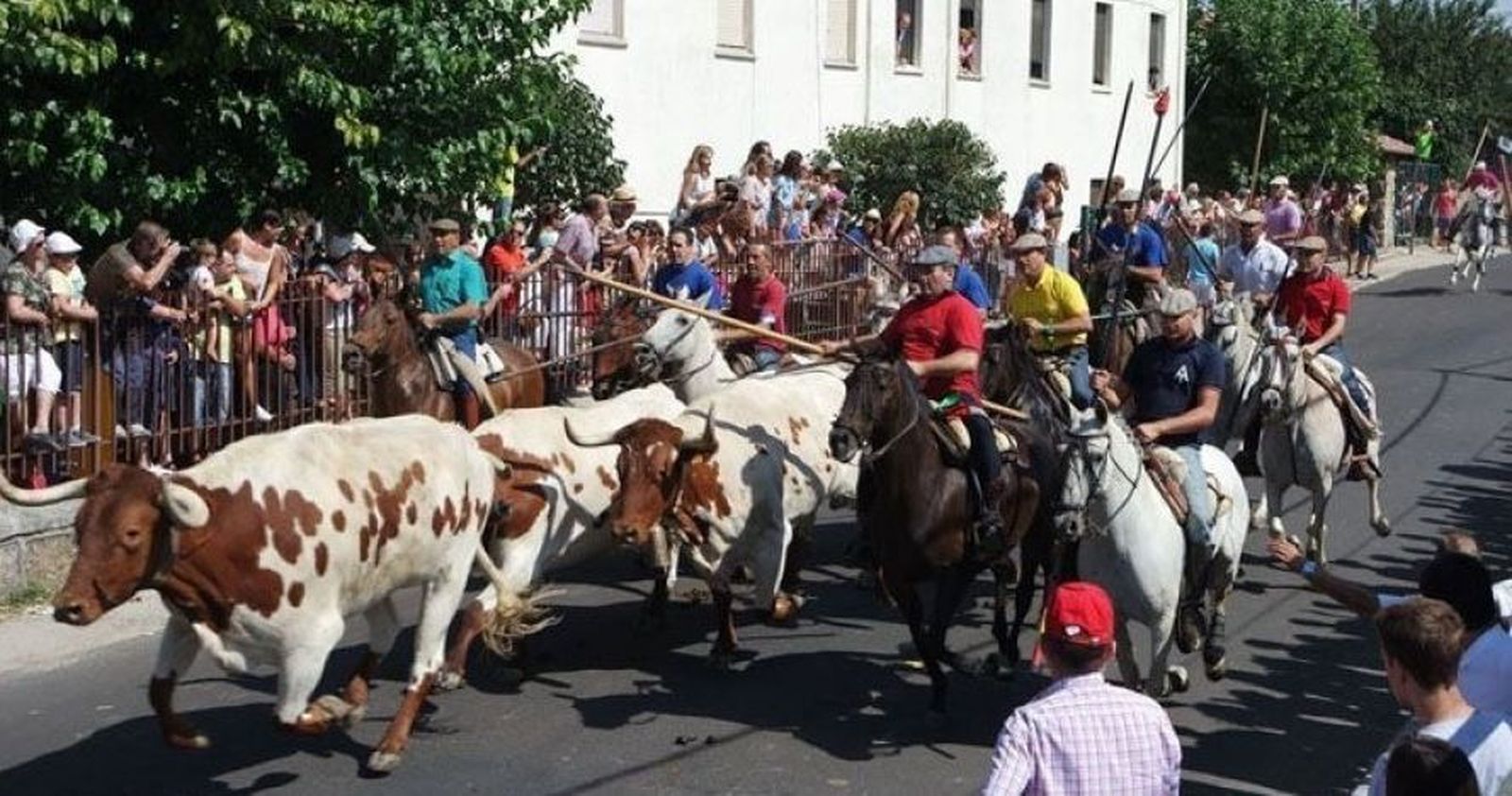 Encierro fuenteguinaldo