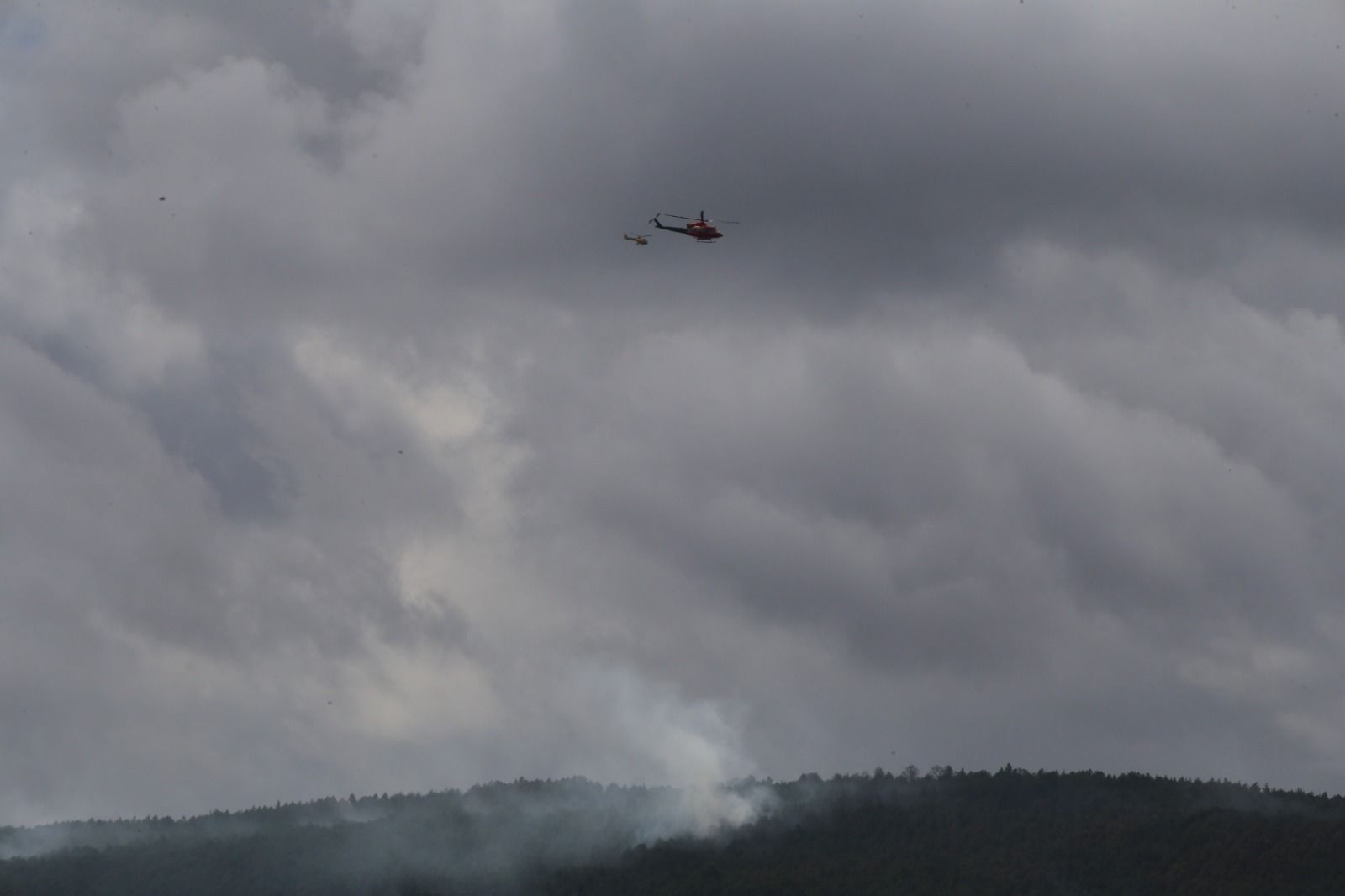 las-desoladoras-imagenes-de-la-sierra-de-la-culebra-tras-el-incendio-7