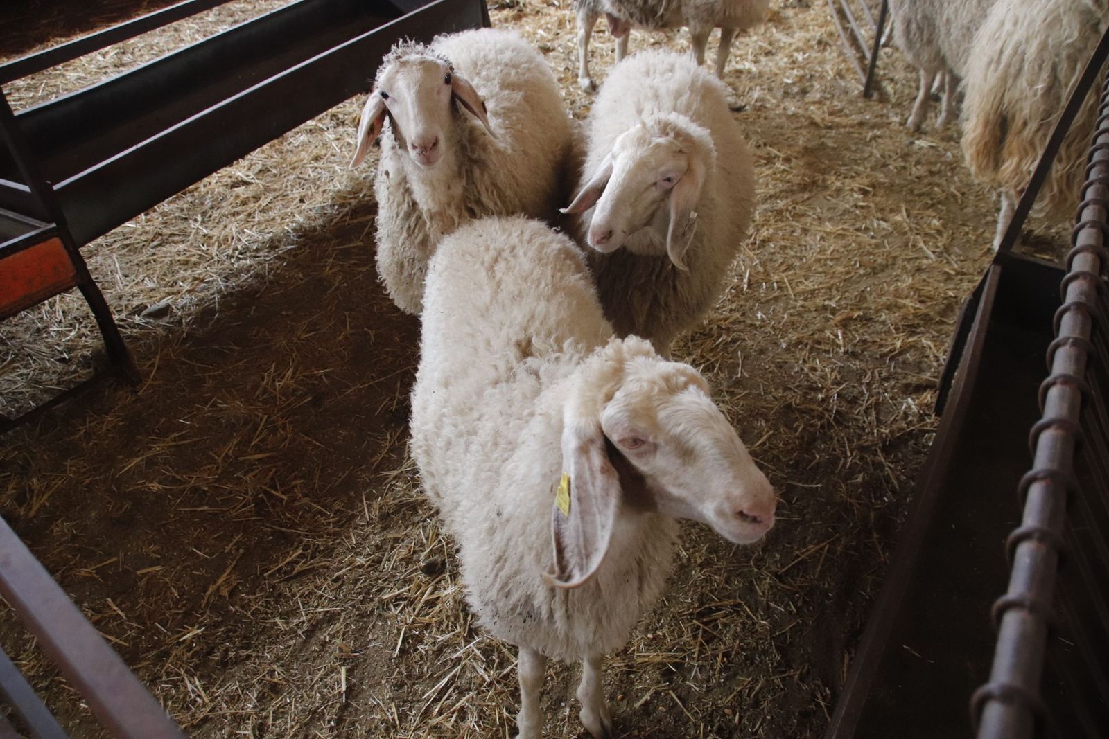 20220520102019-mg-8439