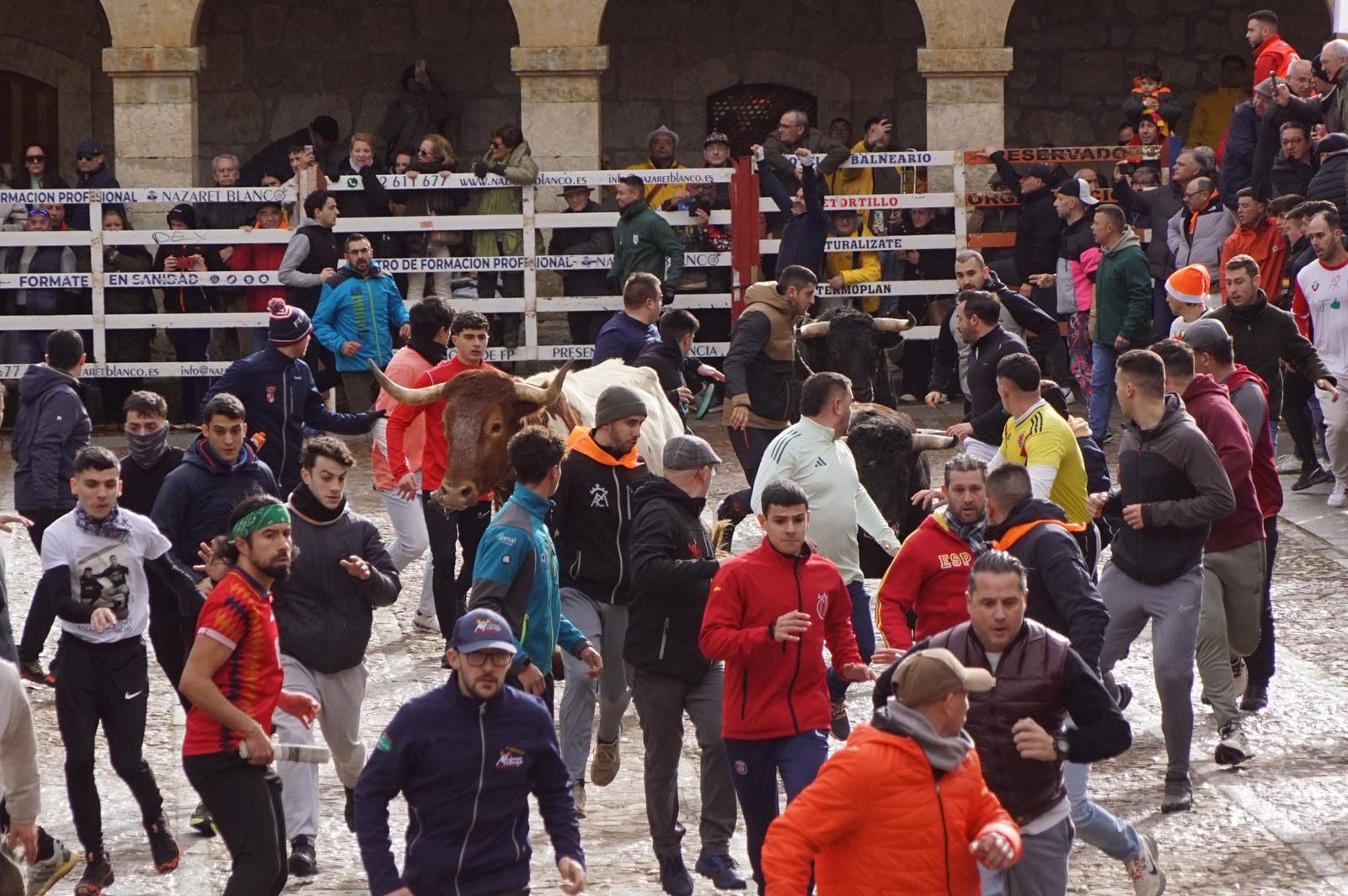 El encierro de Lunes de Carnaval en Ciudad Rodrigo en imágenes