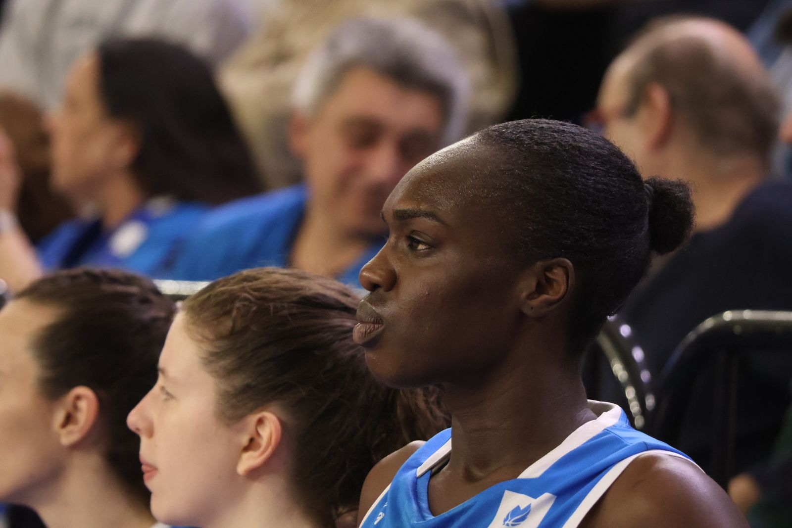 Perfumerías Avenida - CB Jairis