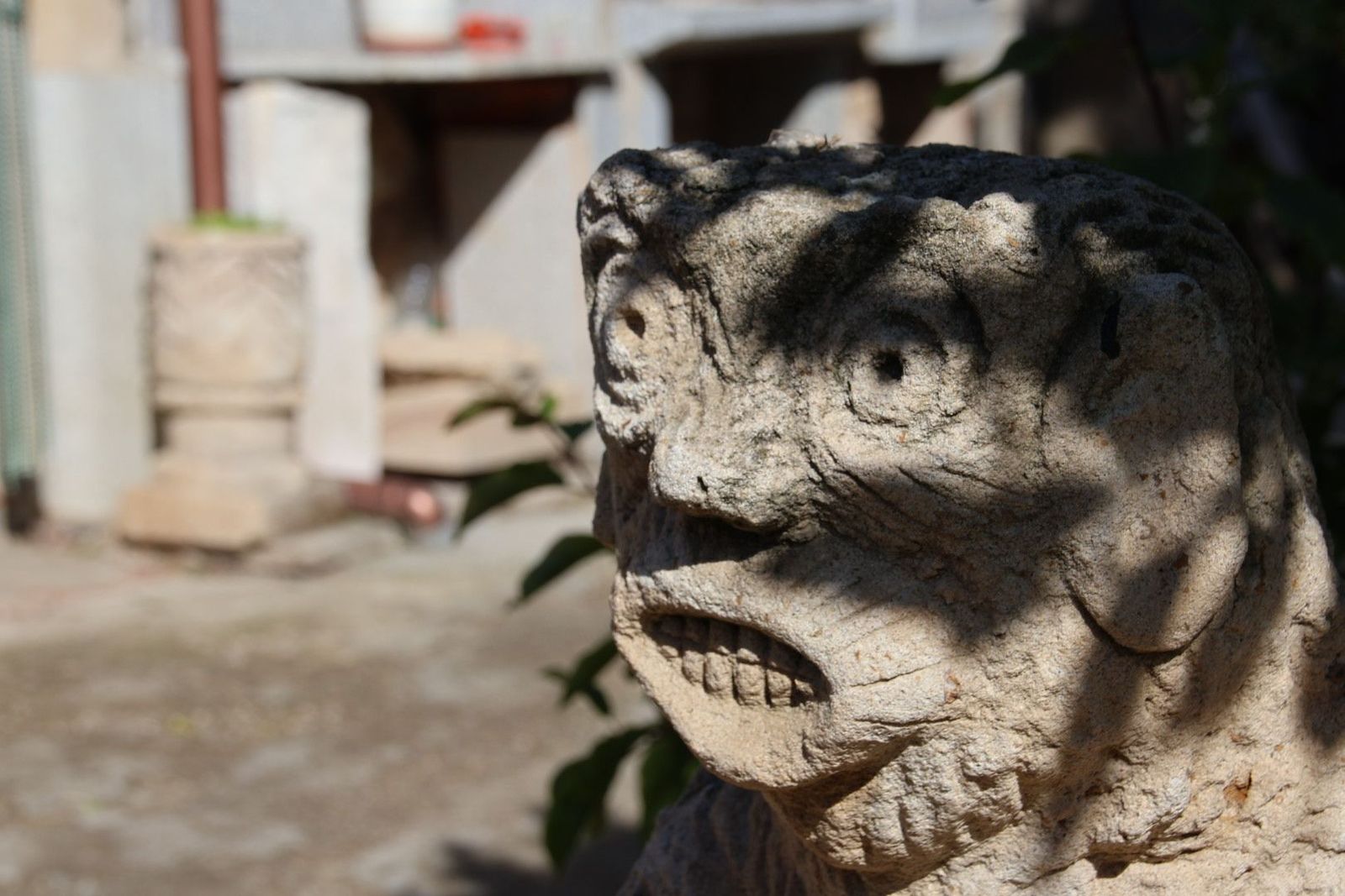 20230614092333-img-2649