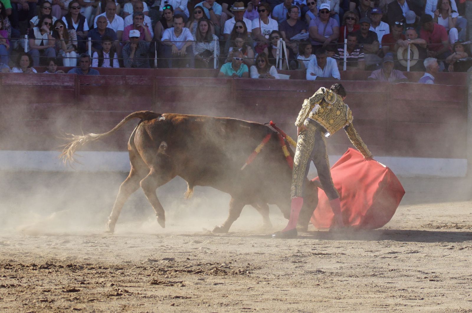 whatsapp-image-2024-06-02-at-22-11-59