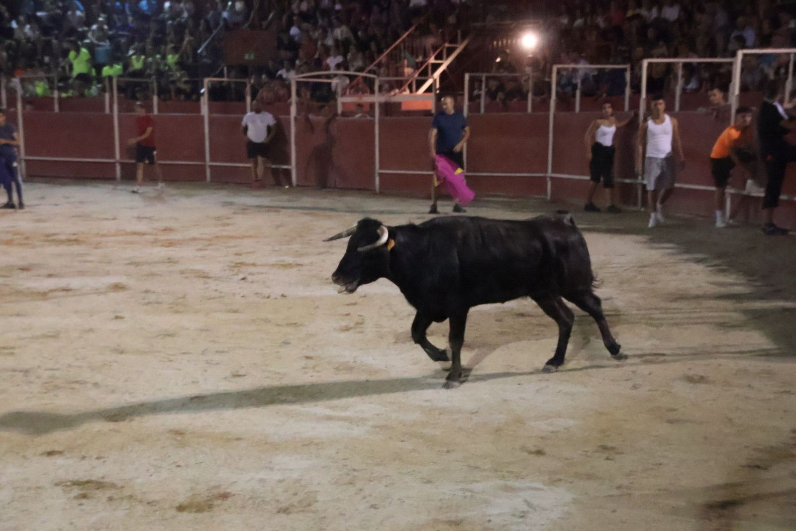 20230812212548-img-1245