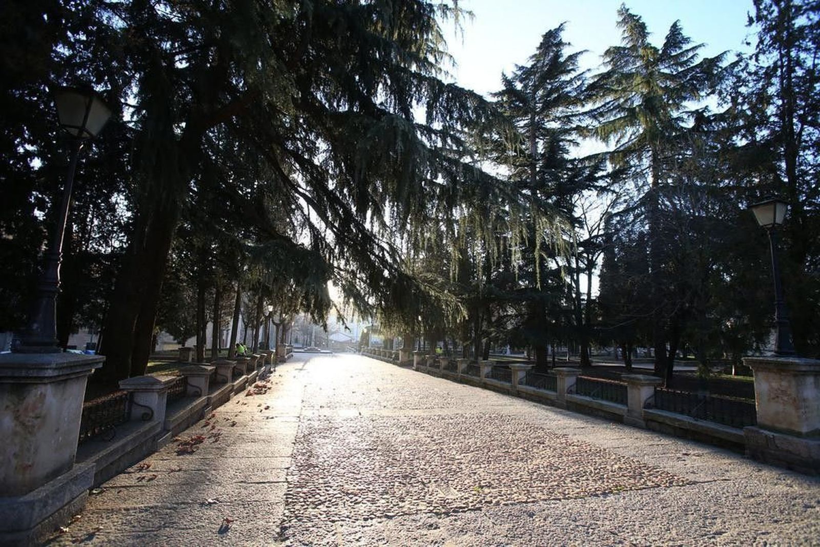 Temporal de frío en Salamanca
