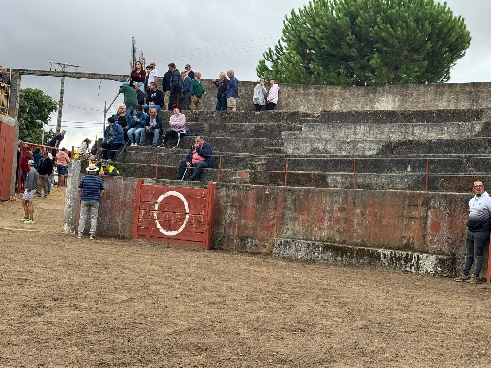 Segundo encierro con novillos de Valdeflores en Pereña de la Ribera