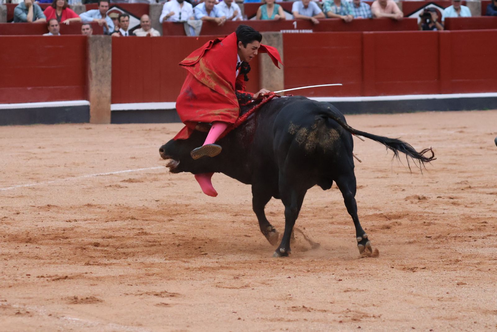 Ismael Martín, Marco Pérez y el aclamado regreso de Morante de la Puebla: su paso por La Glorieta en imágenes
