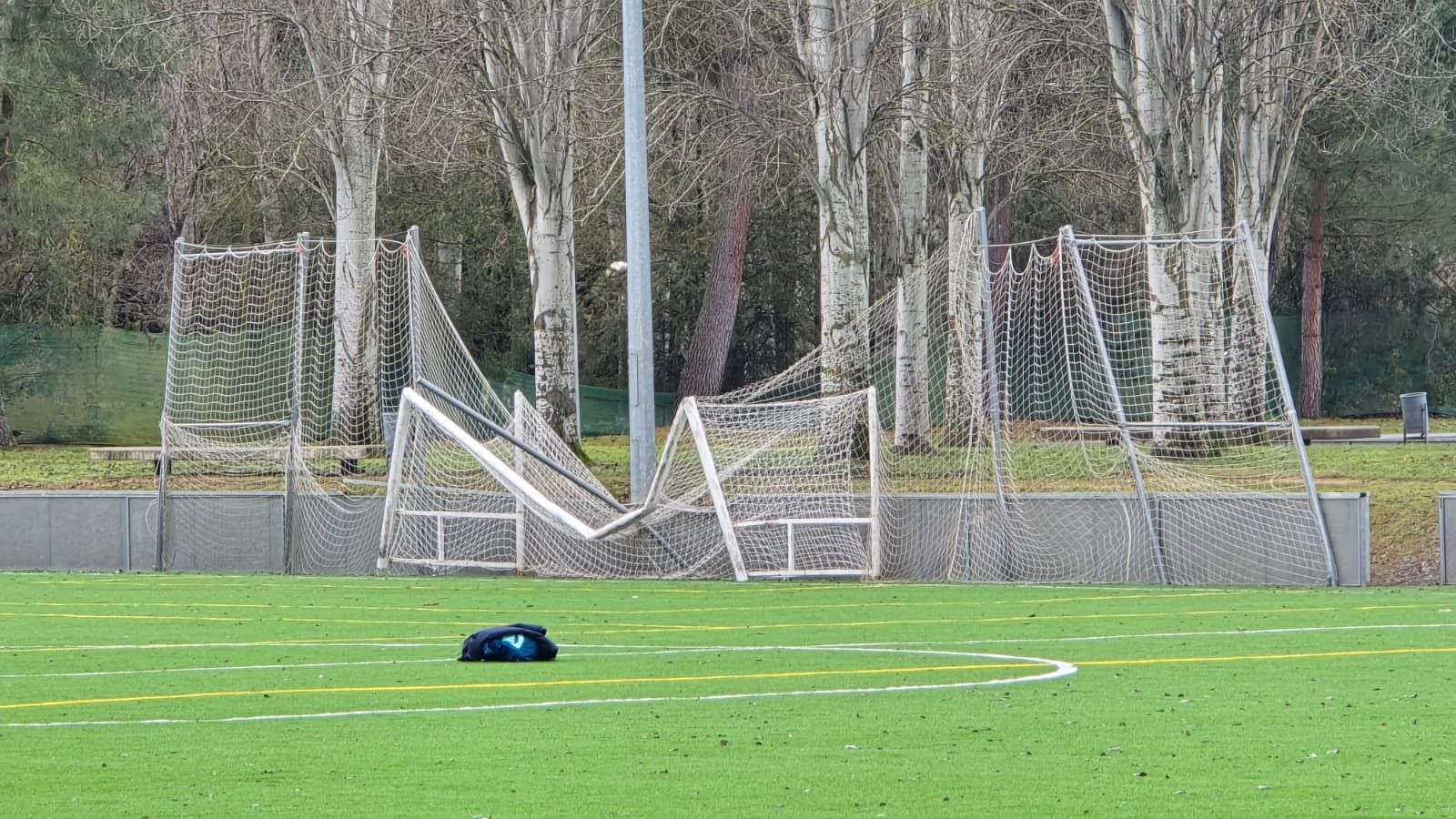 Un árbol de grandes dimensiones cae sobre una de las porterías de La Aldehuela