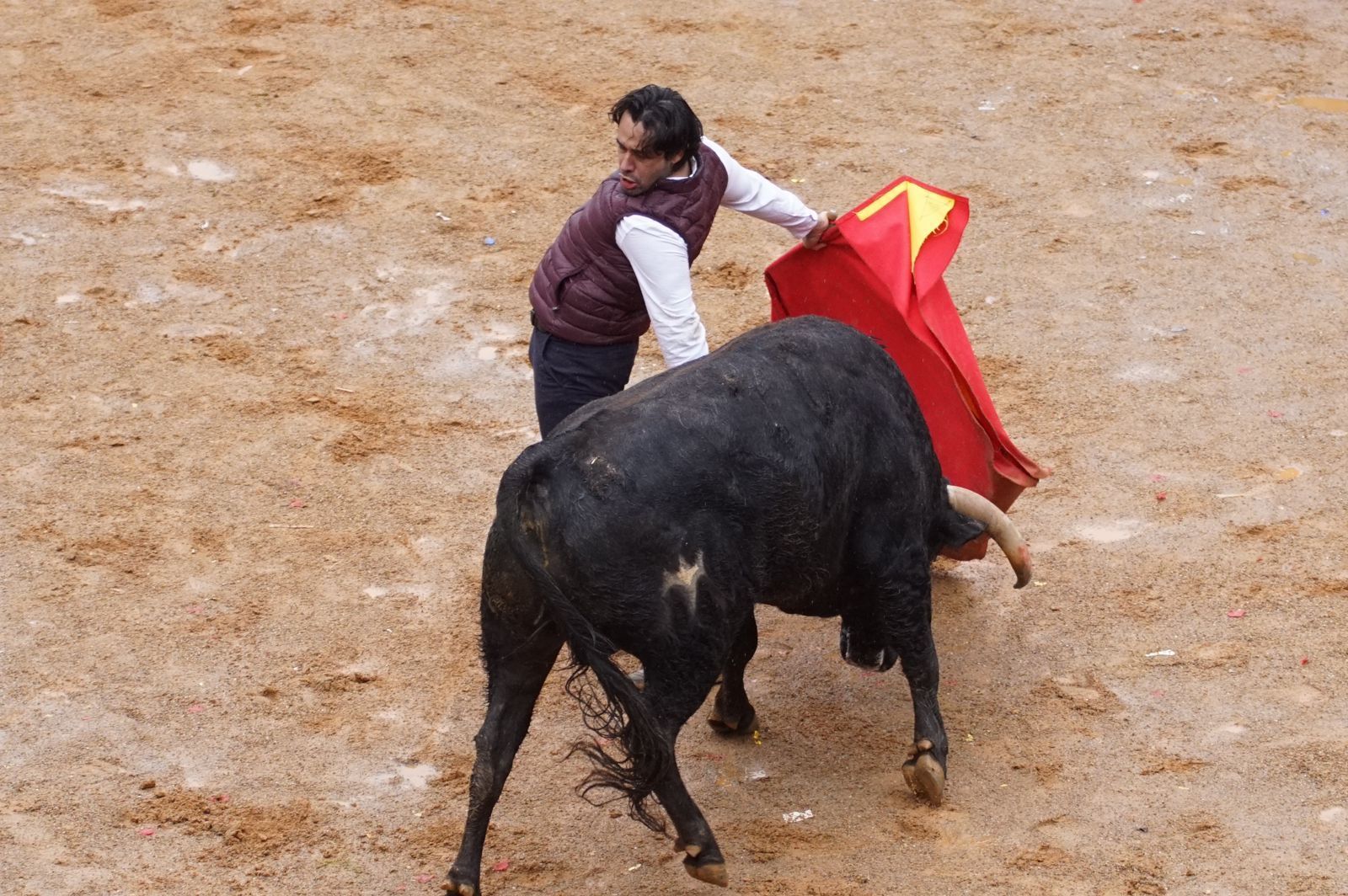 whatsapp-image-2024-02-11-at-14-02-39