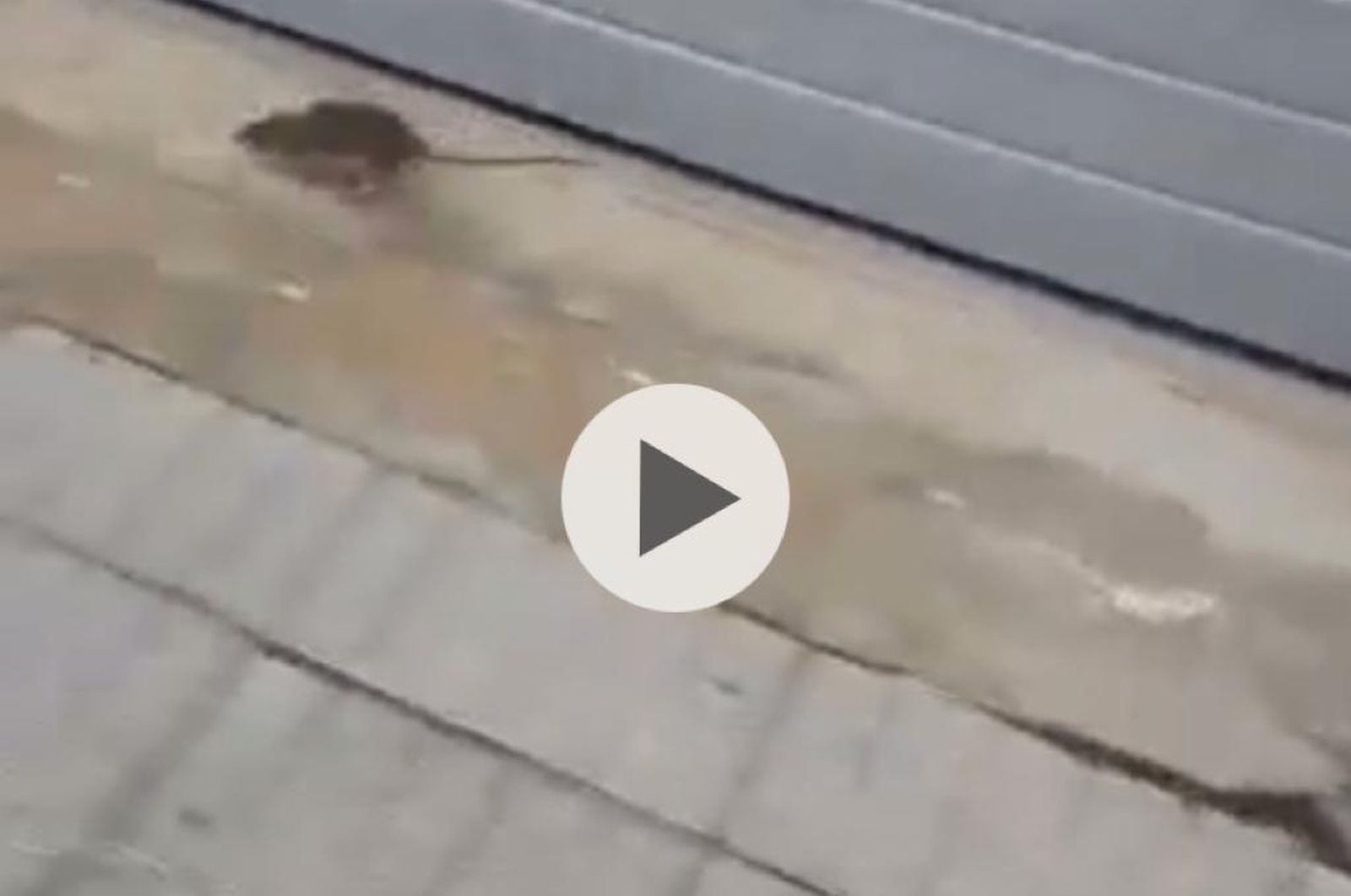 WhatsApp Image 2021 11 02 at 13.33.02