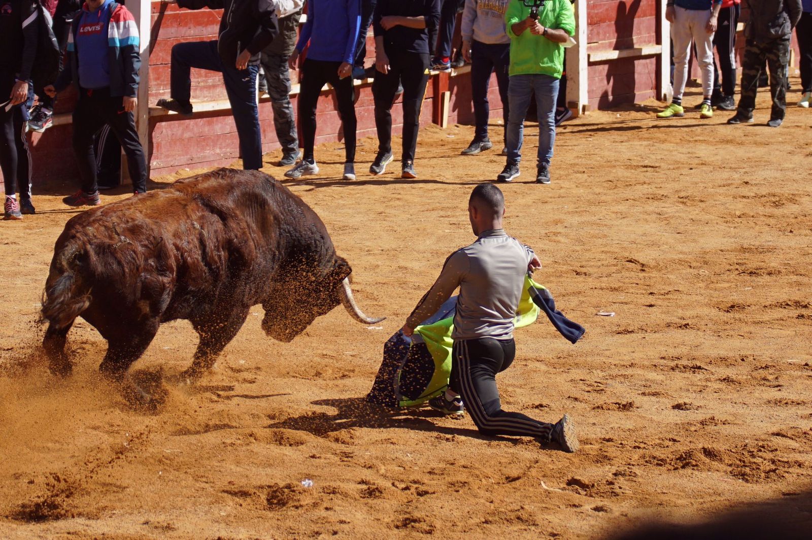 encierro-capea-y-ambiente-en-ciudad-rodrigo-en-este-lunes-de-carnaval-9