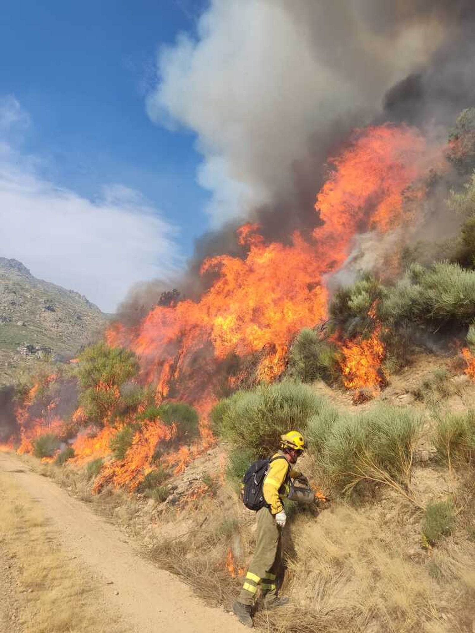 Incencio de Jarilla sierra de Candelario
