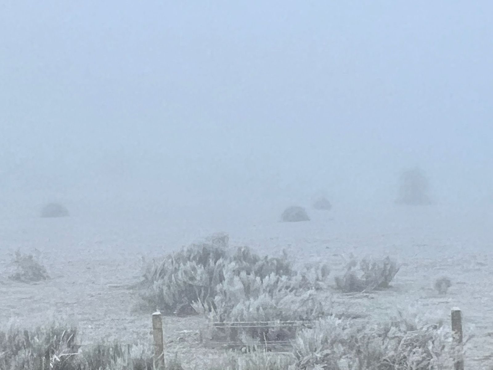 whatsapp-image-2025-02-06-at-09-38-55-1