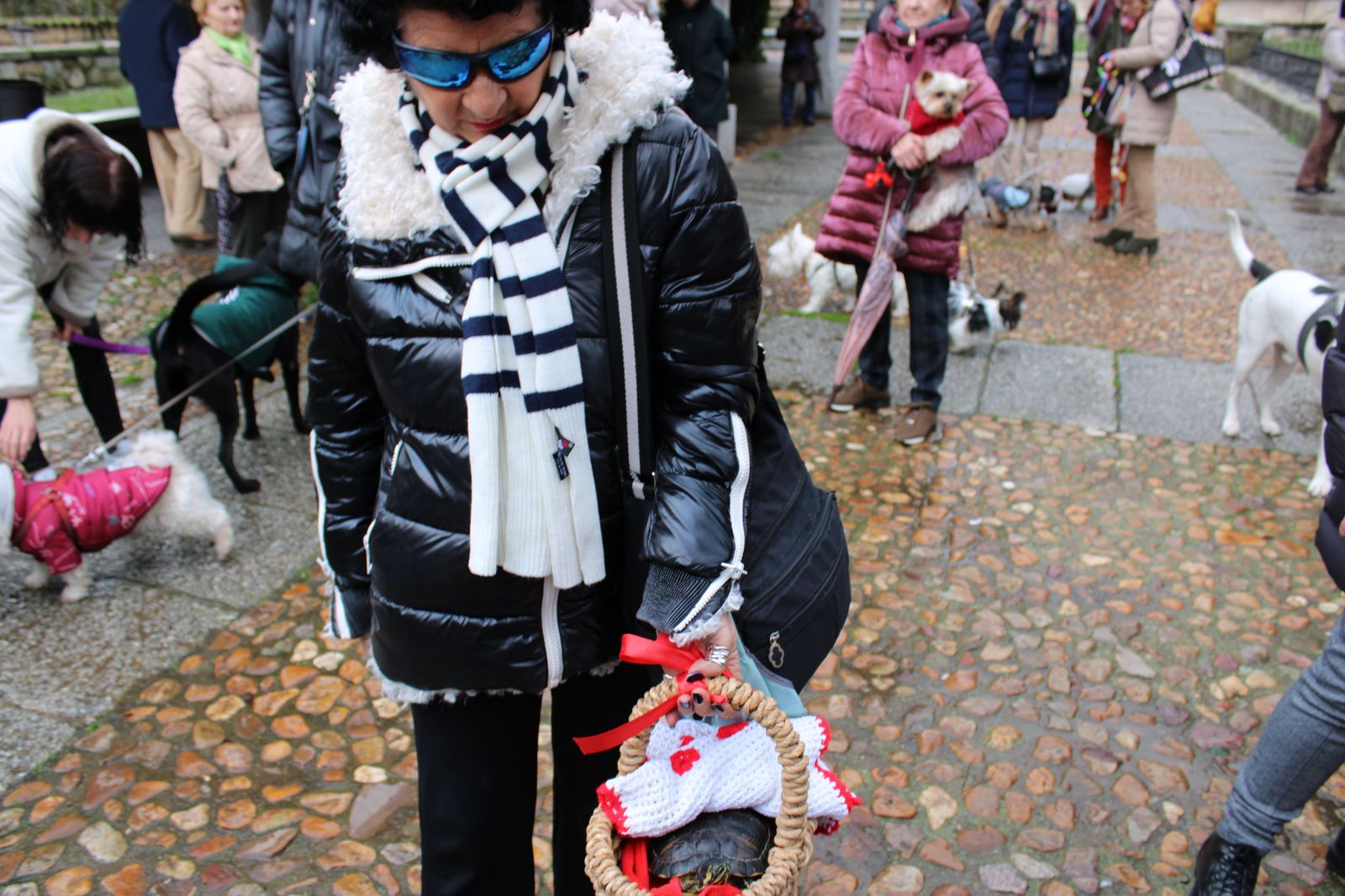 san-anton-bendicion-de-animales-2024-foto-s24h-22