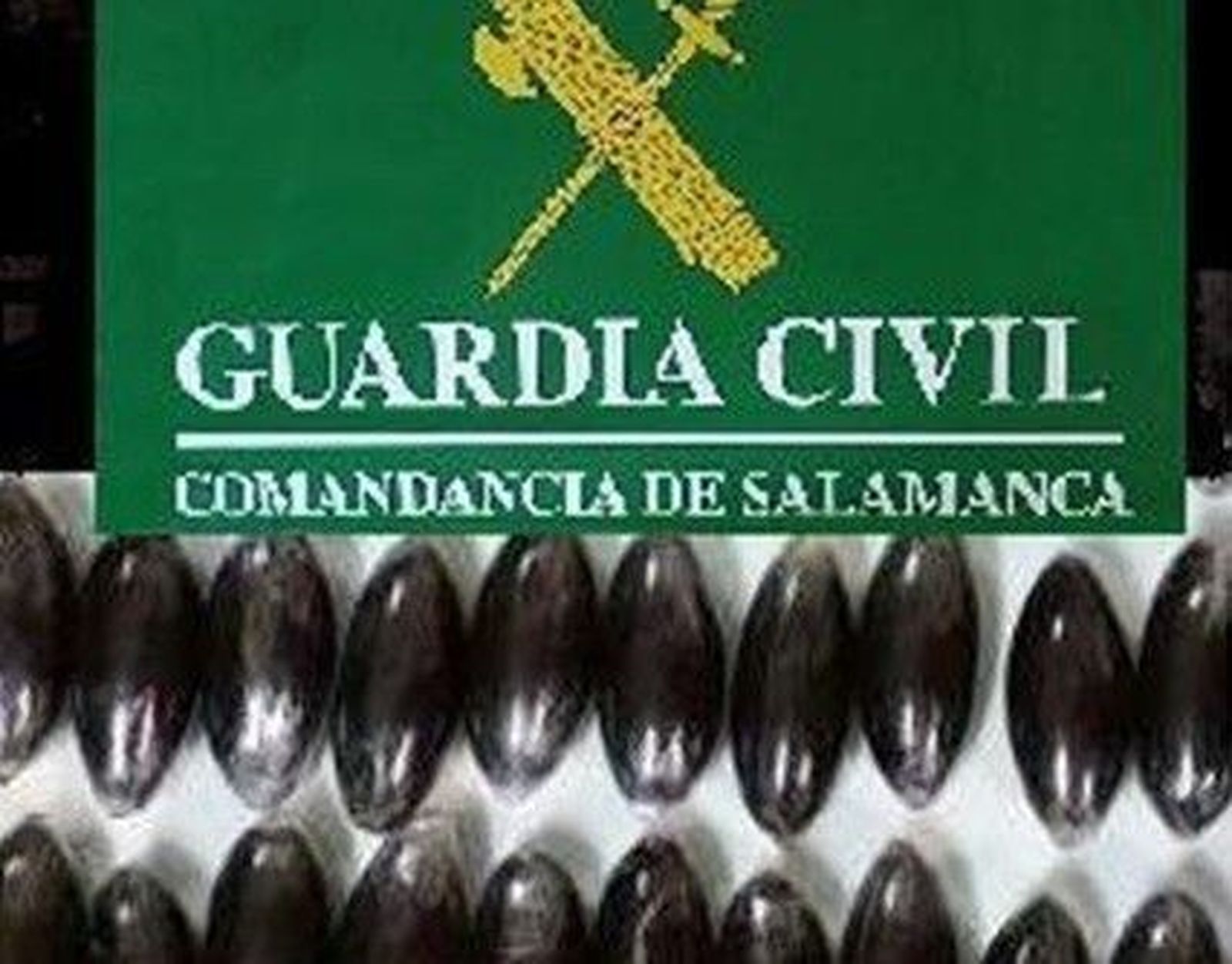 La Guardia Civil detiene a cuatro personas  al sorprenderles con 30 bellotas de hachís