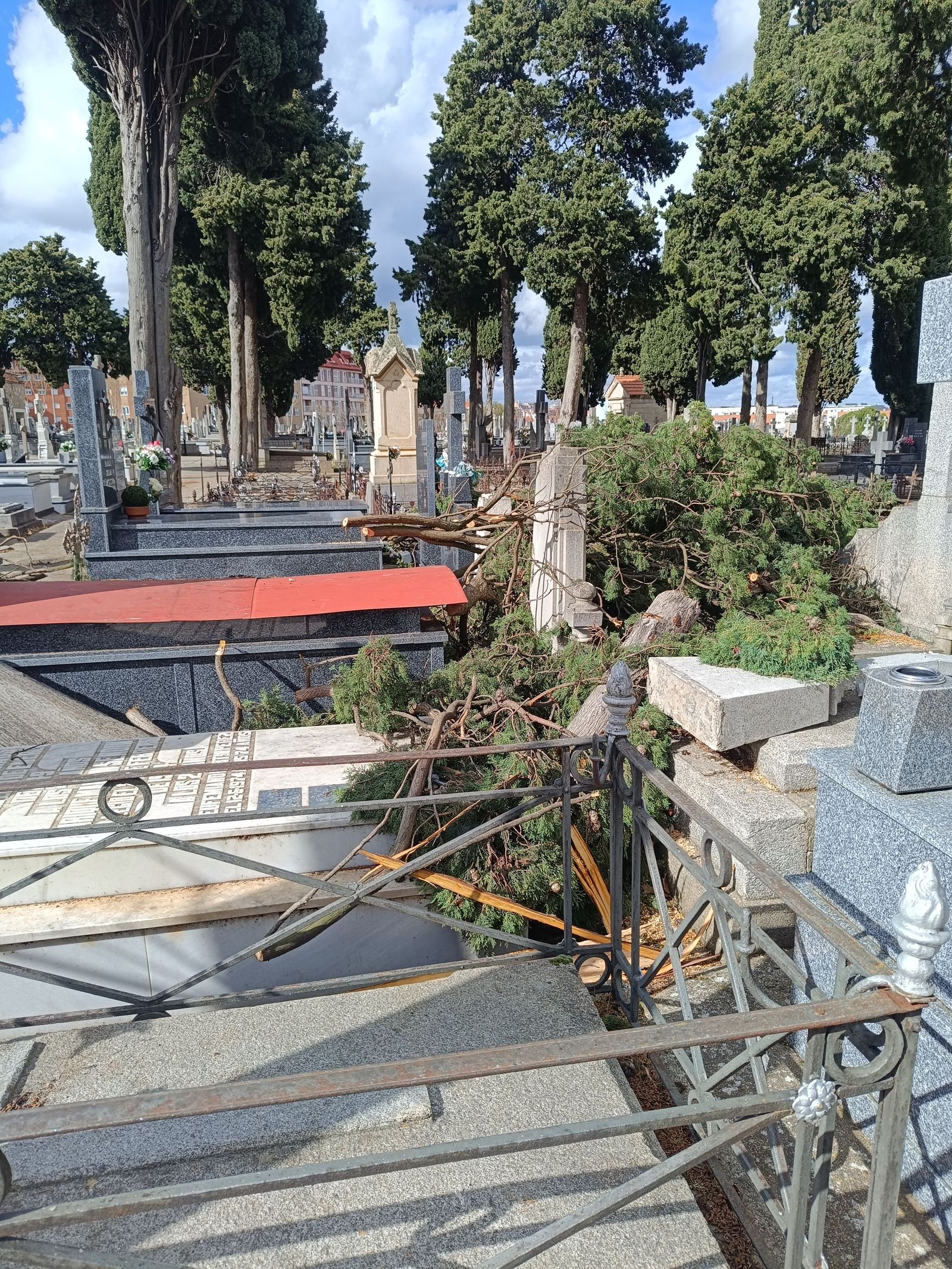 Daños por el viento en el cementerio de San Atilano