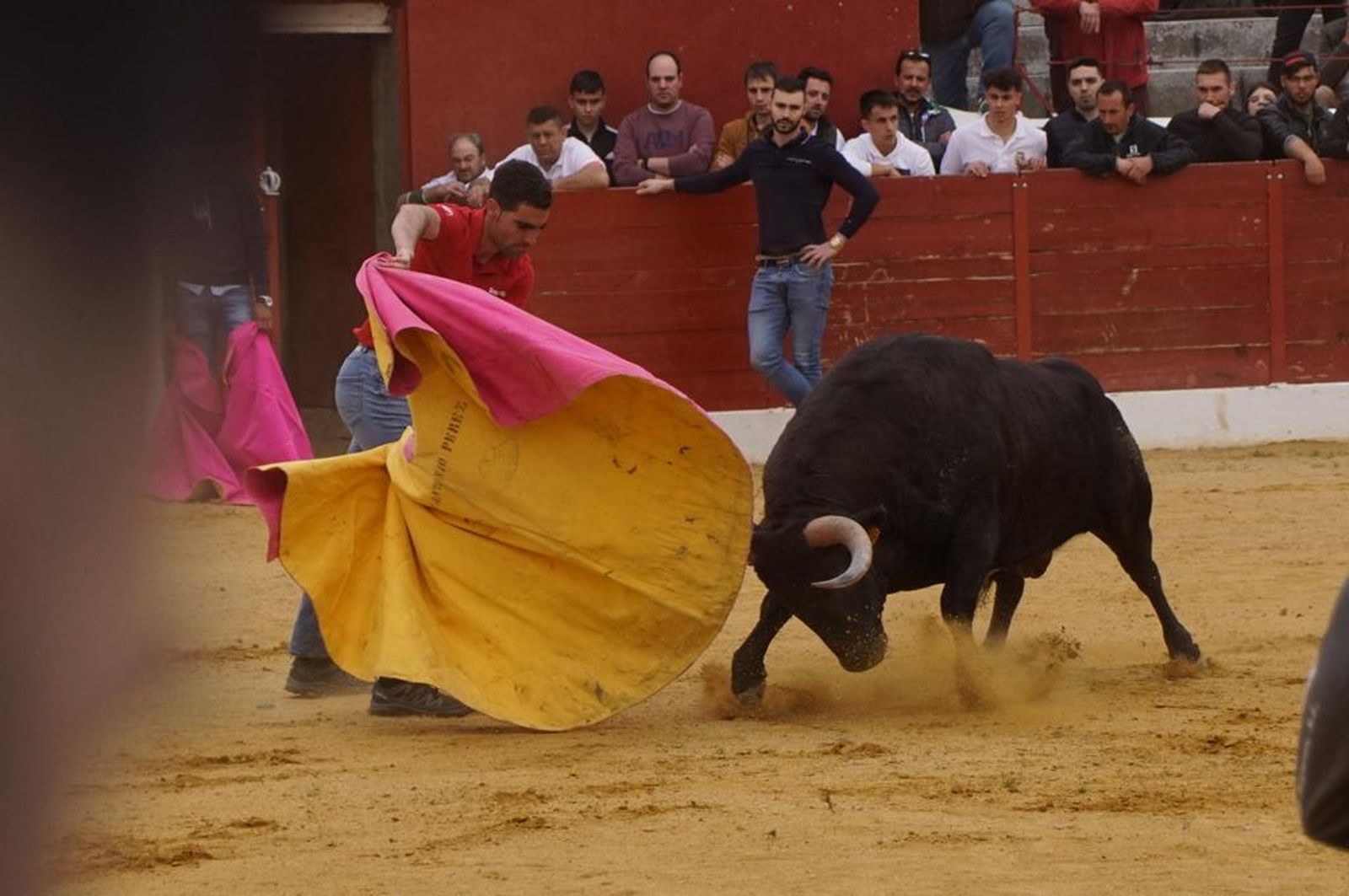 ambiente-y-participacion-durante-el-toro-del-voto-en-villoria-suelta-de-dos-toros-del-cajon-foto-juanes-61