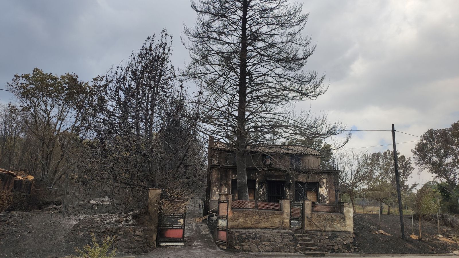Las desoladoras imágenes de la Sierra de la Culebra tras el incendio (10)
