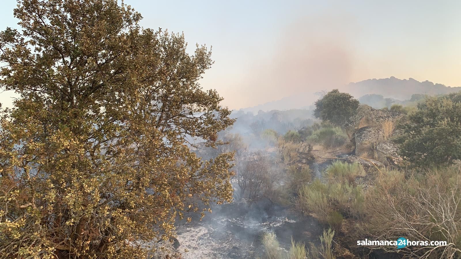 Incendio en Nava de Béjar (3)
