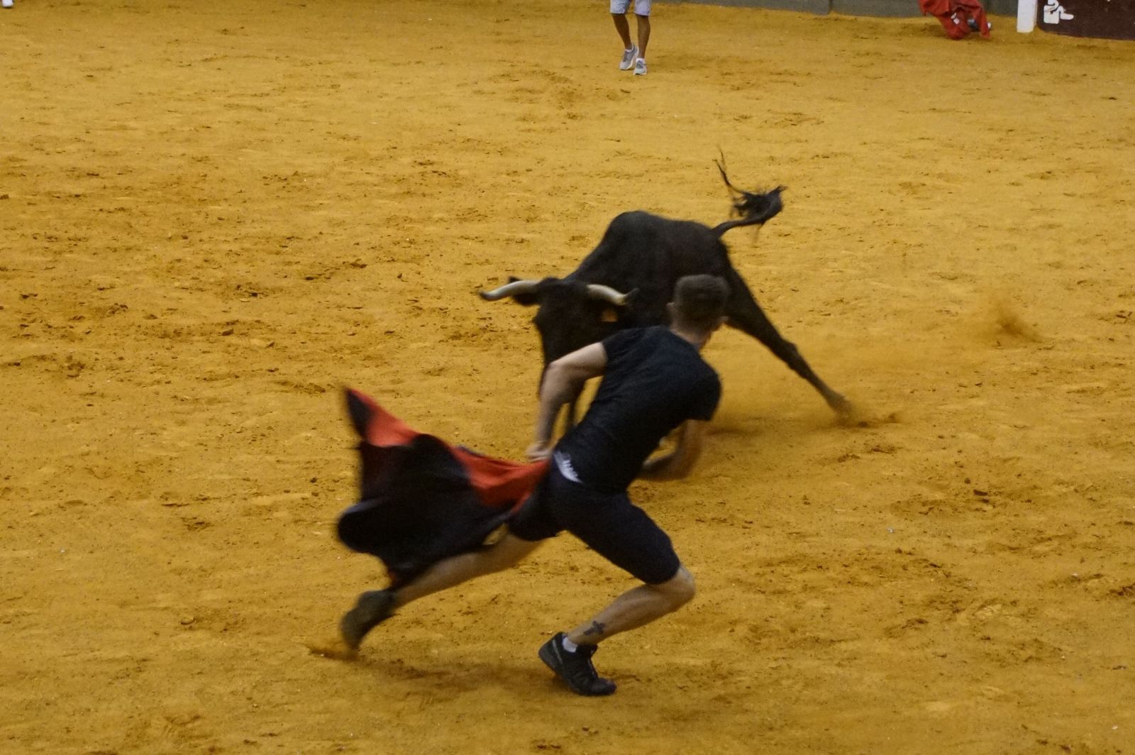 Multitudinario encierro nocturno en Alba de Tormes