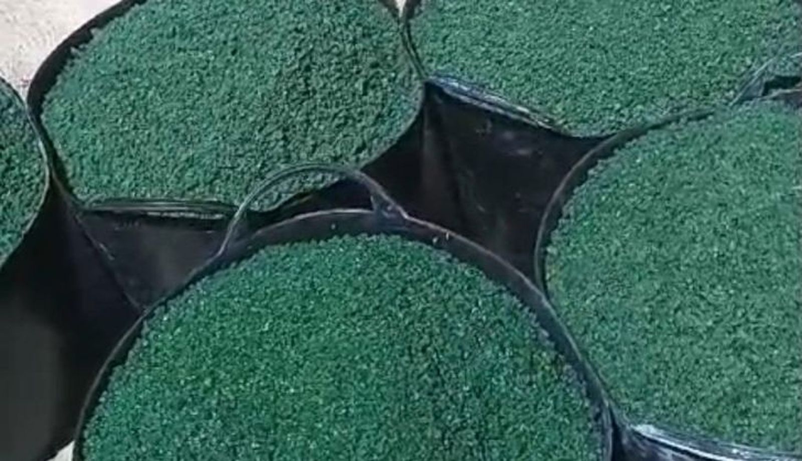 Preparación alfombras de sal en Béjar 