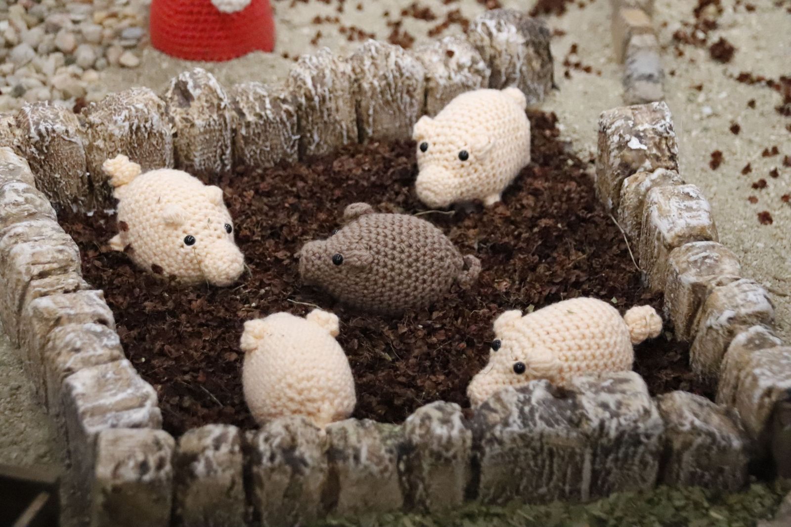 20221202203023-mg-5066