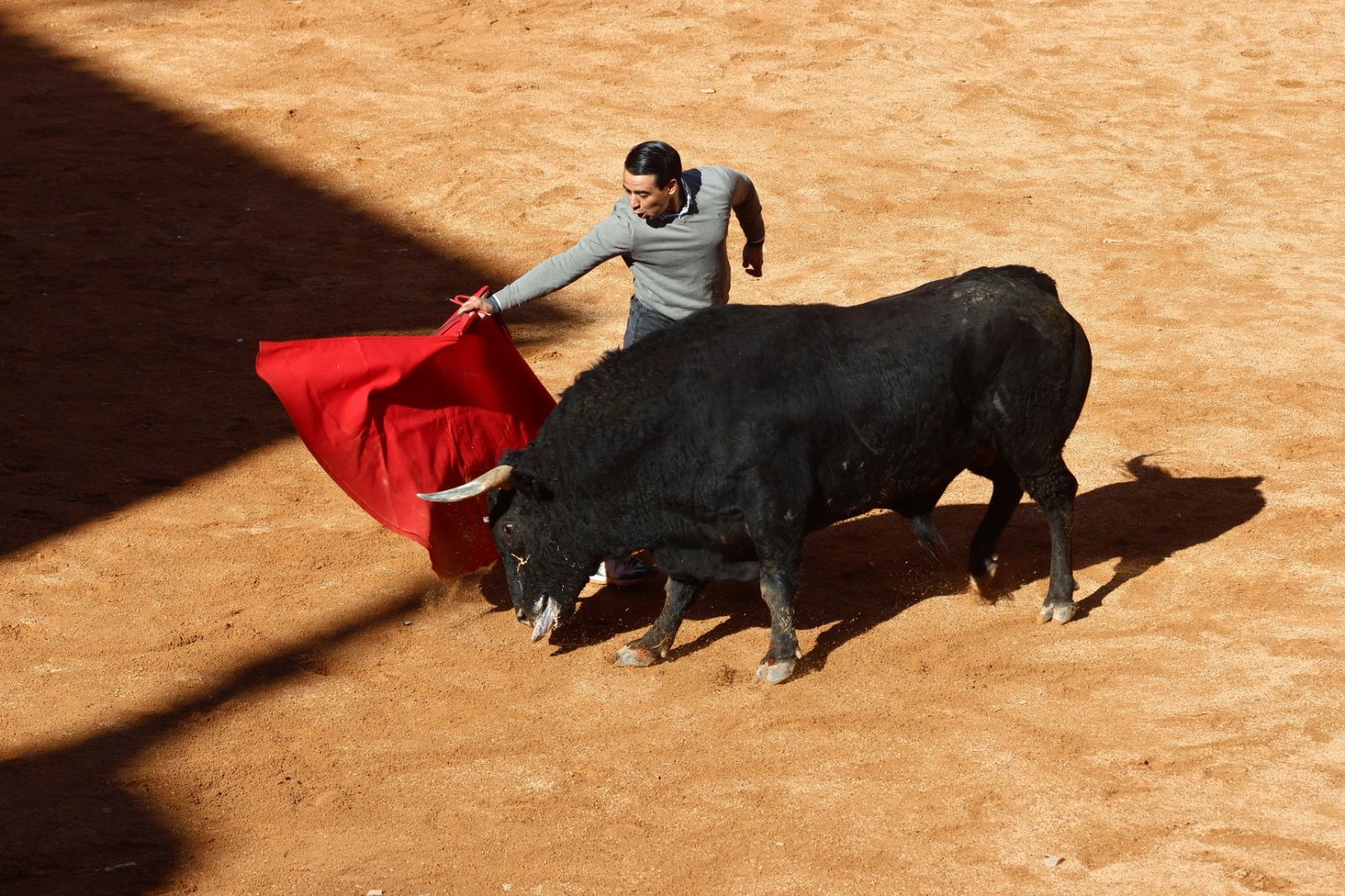 Capea de mañana en el martes del Carnaval del Toro de Ciudad Rodrigo