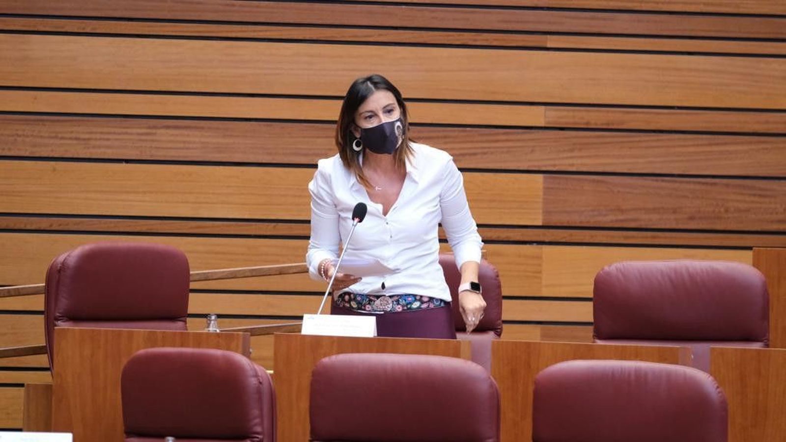 Ana sanchez pleno cortes psoe