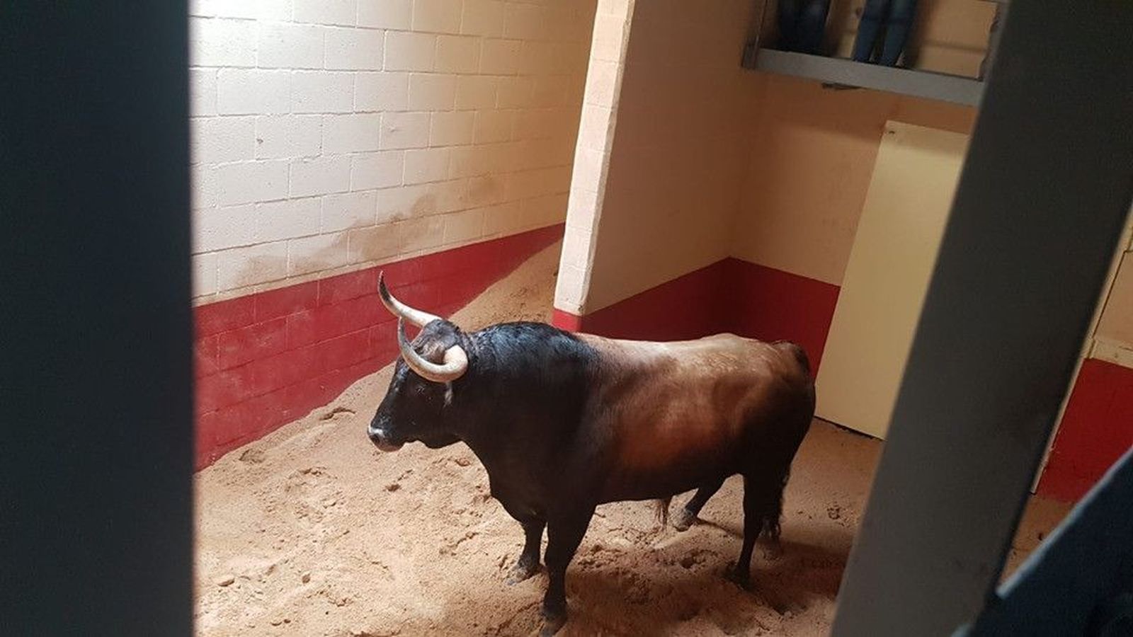 64326678 2476536759293505 8221871786111795200 n