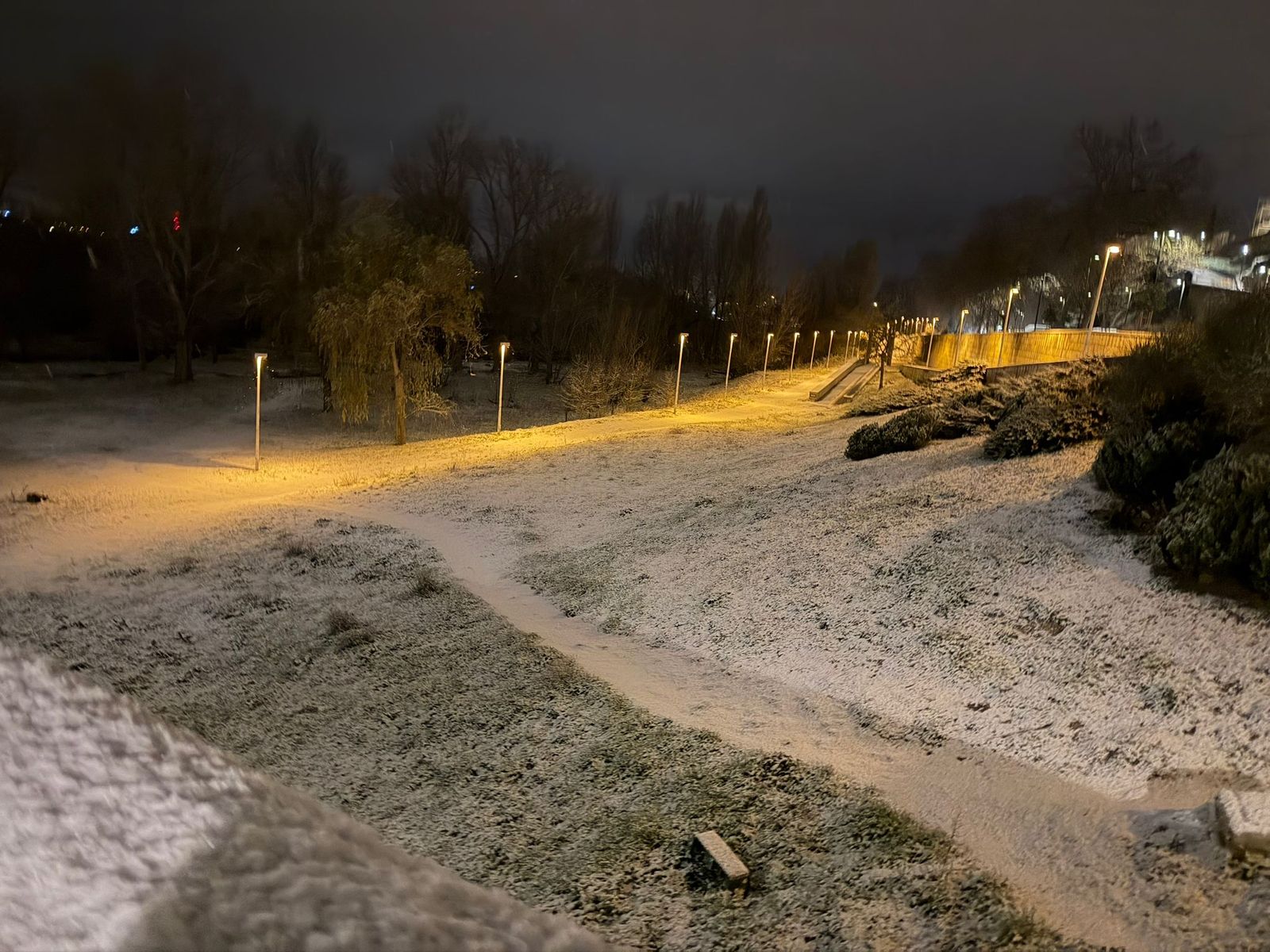 Nieve en Salamanca capital