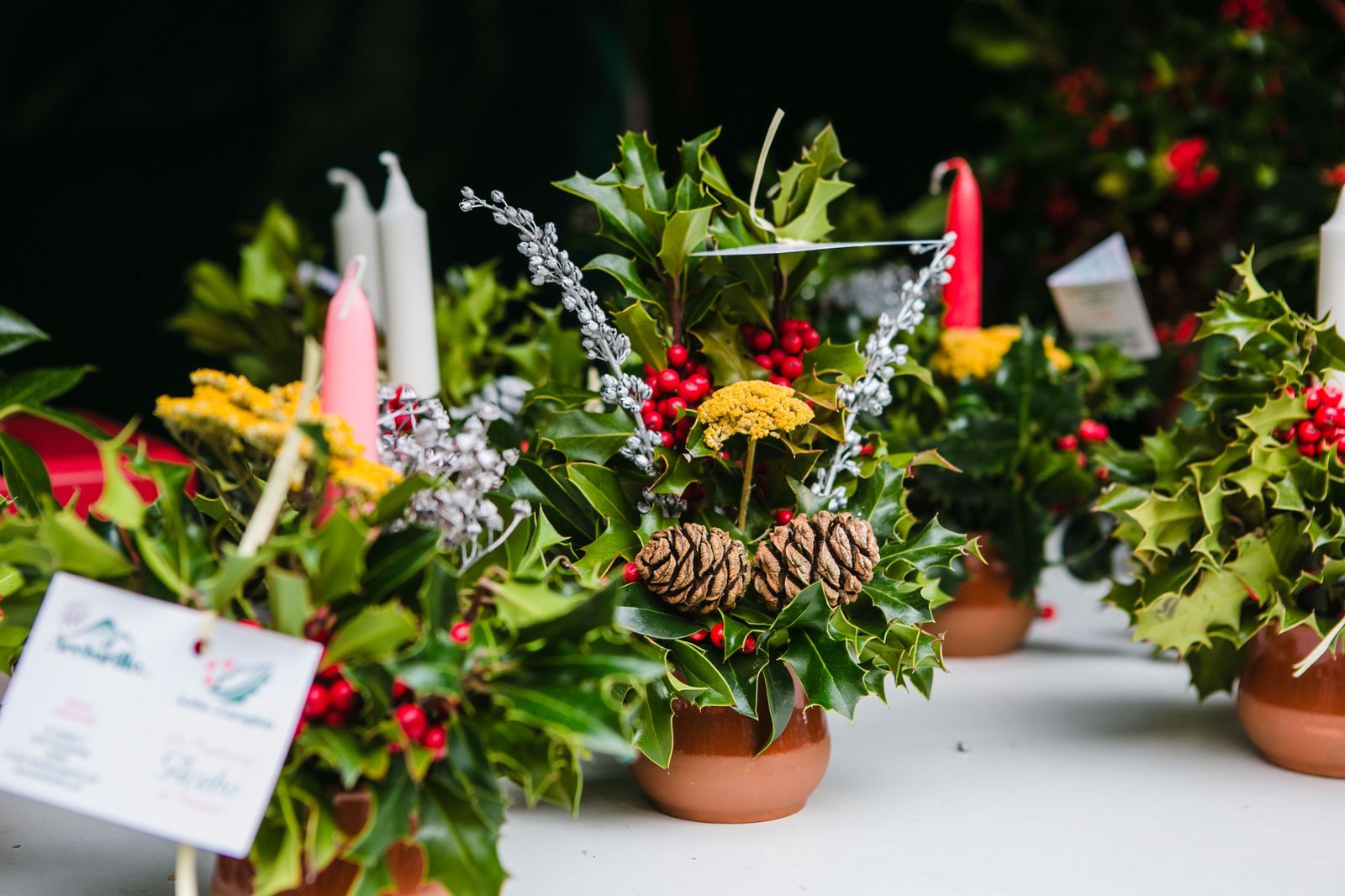 Un centro creado con acebo de Soria | Agencia ICAL