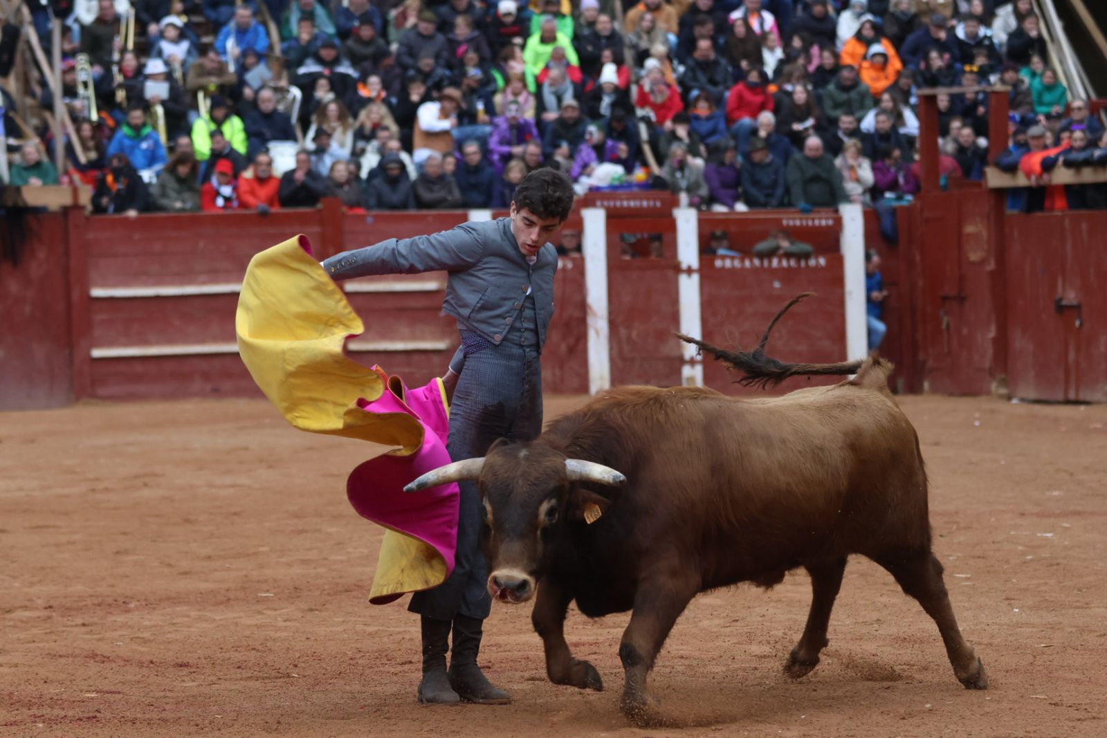 Novillada sin picadores del bolsín taurino y rejones en Ciudad Rodrigo