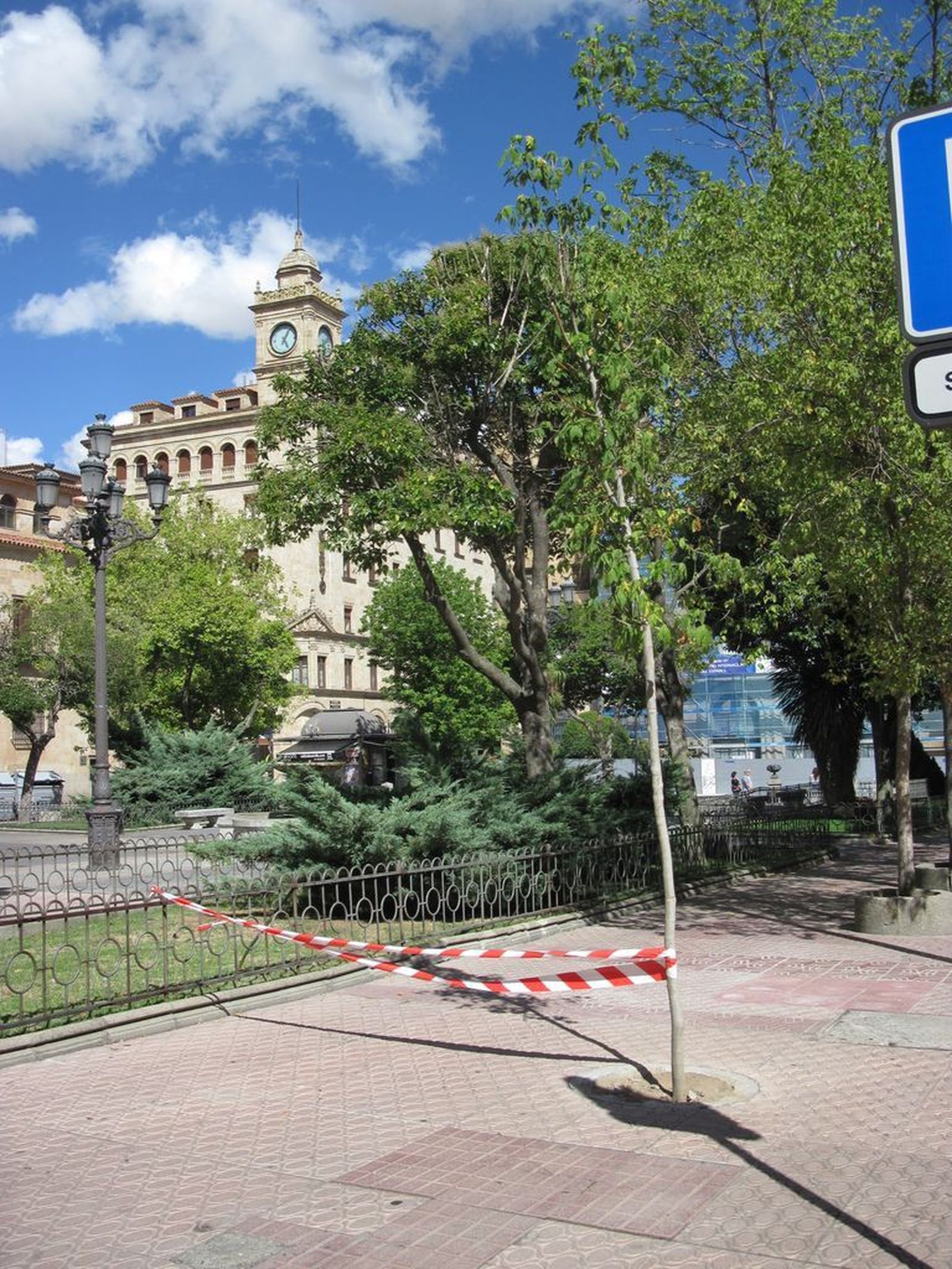 Alcorques en la plaza de los Bandos (9)