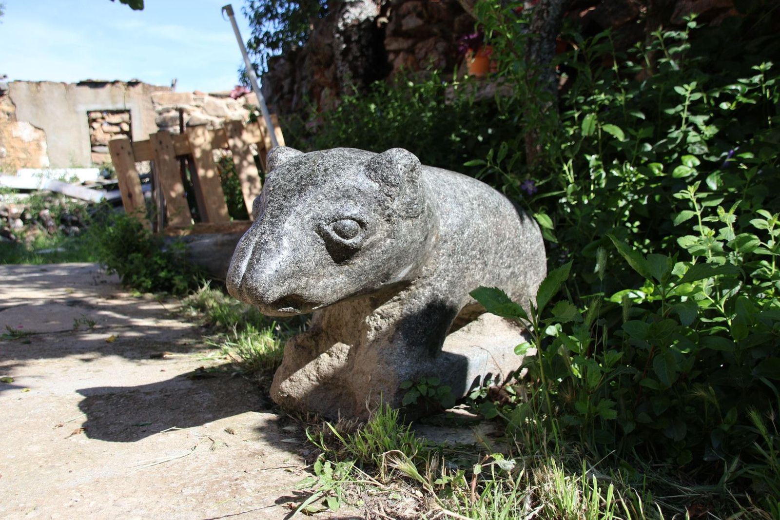 20230614092410-img-2652