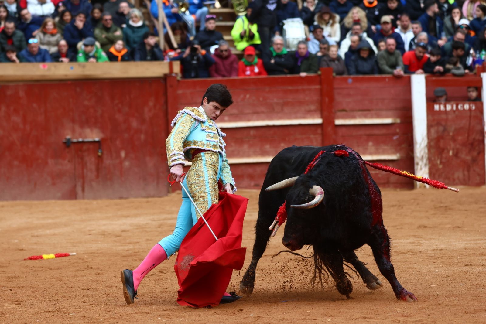 Novillada con picadores de lunes en el Carnaval del Toro de Ciudad Rodrigo 2026