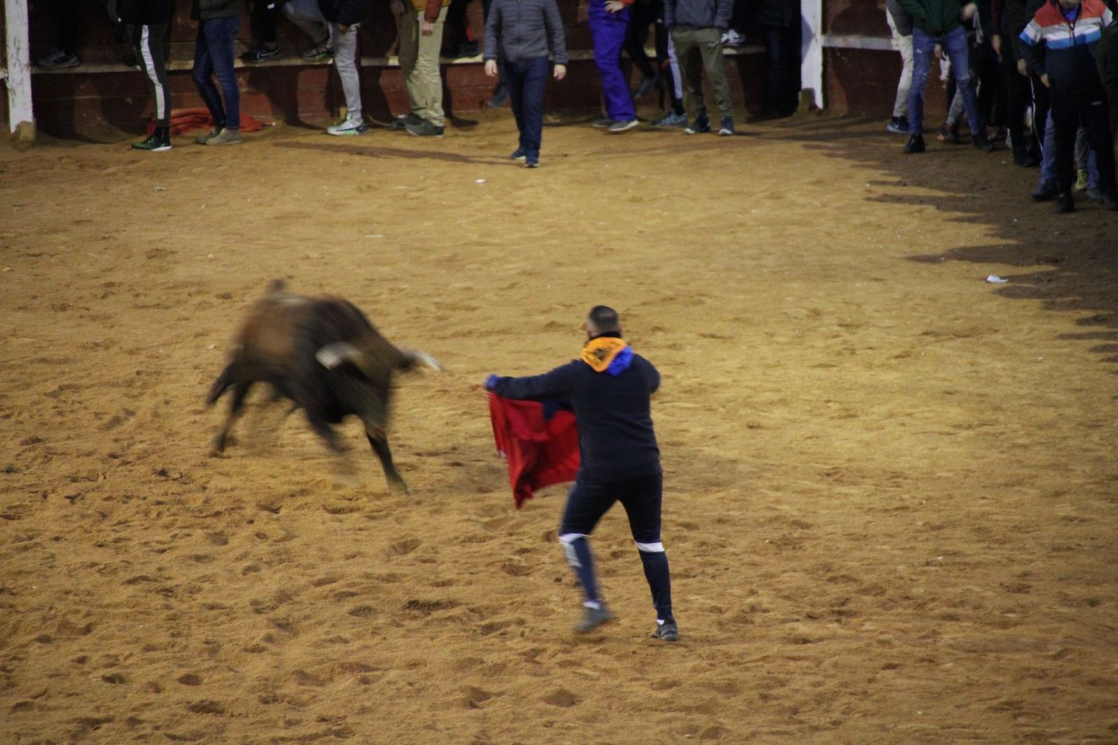 whatsapp-image-2025-03-02-at-19-32-44-1